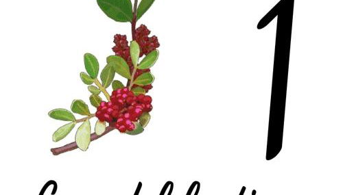 Residence La Duna - Foto 2