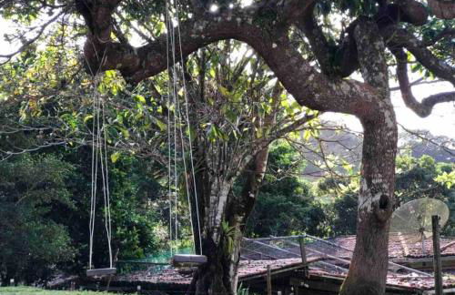 Flat Natureza Hotel Fazenda Pedra do Rodeadouro Bonito PE - Photo 53