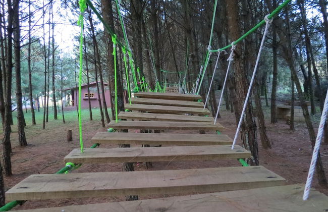 Viña Real Cabañas Rotamundos - Foto 43