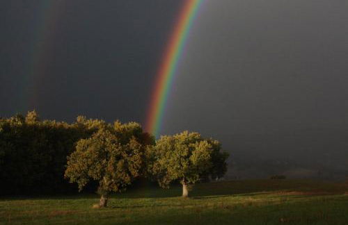 Agriturismo La Corte Sul Lago - Foto 9