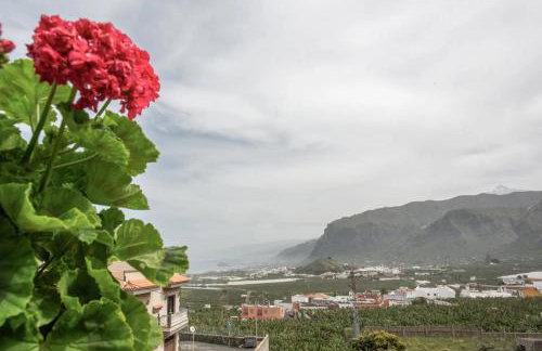 Connect with calm and nature - Foto 25