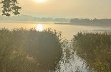 Siedlisko na łące - Foto 18