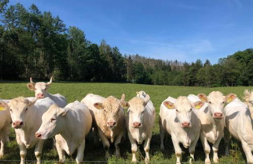 Ferienwohnung auf dem Bauernhof in Hachenburg Hof Kleeberg II - Foto 20