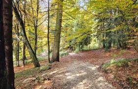 Villa Ernesta-Appartamento - Foto 23