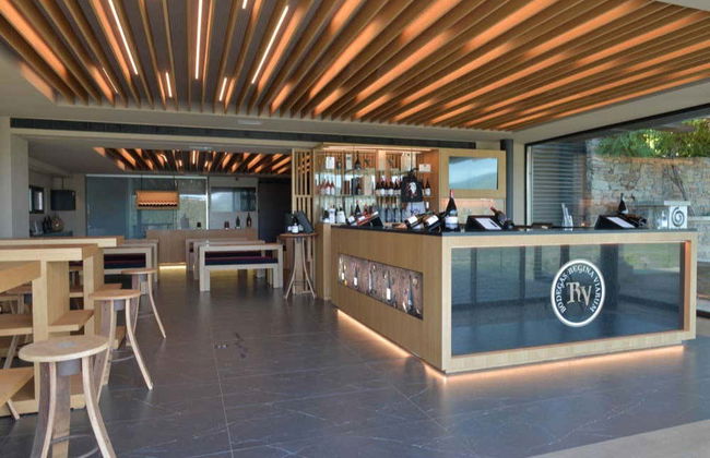 Visita alla cantina Regina Viarum - Foto 6