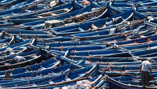 Essaouira Day Trip - Foto 3