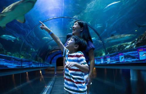 Events Allowed: Sunny Villa| Lake| Trails| Beach - Foto 62