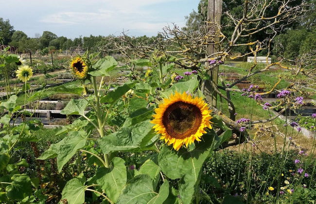 10 Person Holiday Home in Farjestaden - Foto 9