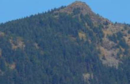 Ferienwohnung HOAMAT Schmalzreich Andrea - Foto 39