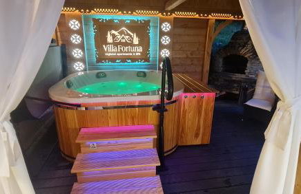 Villa Fortuna - Regionalne apartamenty & SPA - Sauna, Grill, Jacuzzi z widokiem na Tatry - Foto 28