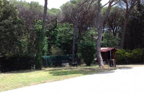 Casa en Parque Natural del Montseny. - Foto 21