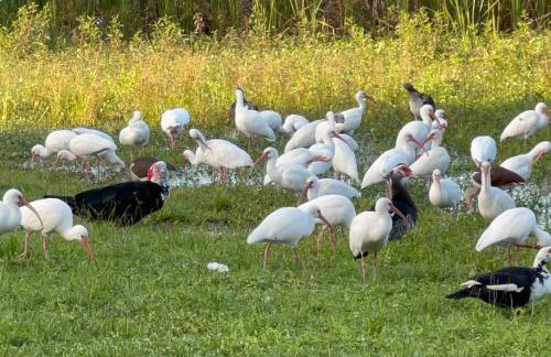 Lakeside retreat - 3 Bedroom, 2 Bathroom house by the lake - Foto 36