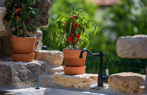 Villa Parenzana - Photo 71