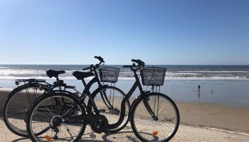 Un cocon zen les pieds dans l'eau à Hardelot - Foto 4