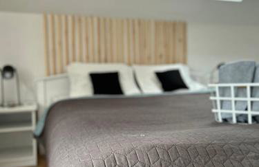 APARTAMENTY Adamcykówka blisko stoku Czorsztyn-Ski! Jacuzzi i Sauna w cenie! - Foto 44