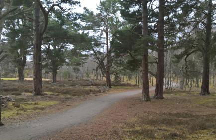 Holiday House Kinveachy - Foto 44