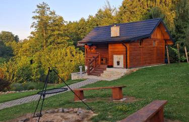 Siedlisko Sielska Dolina Nad Stawem luksusowy domek całoroczny z fińską sauną - Foto 11