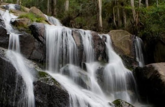 Toorongo Valley Estate - Foto 36