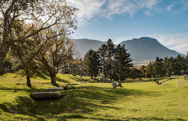 High Season Farm - Photo 3