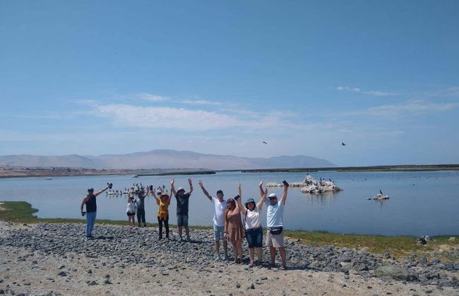 Escursione a Puerto Grau, paludi di Ite e collinette di Tacahuay - Foto 5