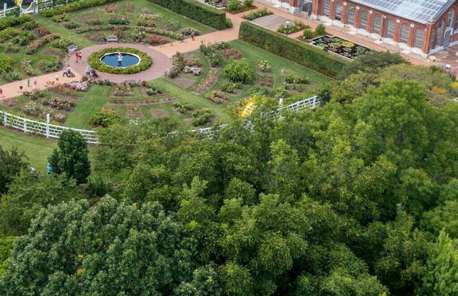 Cozy Family Home - Walk to MO Botanical Gardens - Photo 62