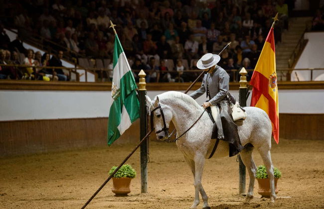Spectacle équestre à Xérès de la Frontera - Photo 4