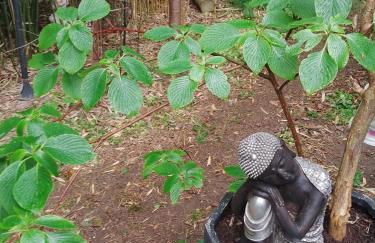 La Lilloise Villeneuve D'Ascq GD STADE Mauroy - Foto 65