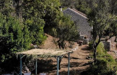 ELEONAS Othoni - Foto 36