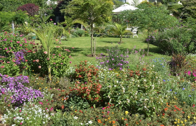 Serenity Ocean Lodge - Foto 56