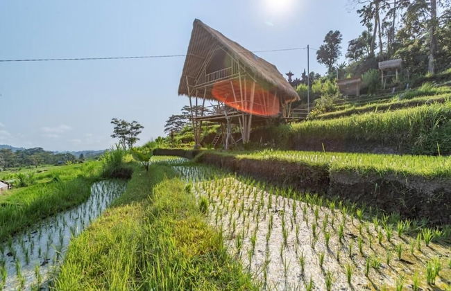 Sandag hill - Foto 8