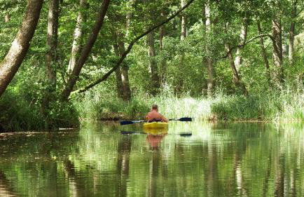 Mazurski Raj - Komfortowy dom nad jeziorem - Foto 54