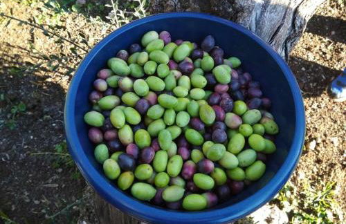 Finca el Vizconde - Naturaleza con tus hijos - Foto 31