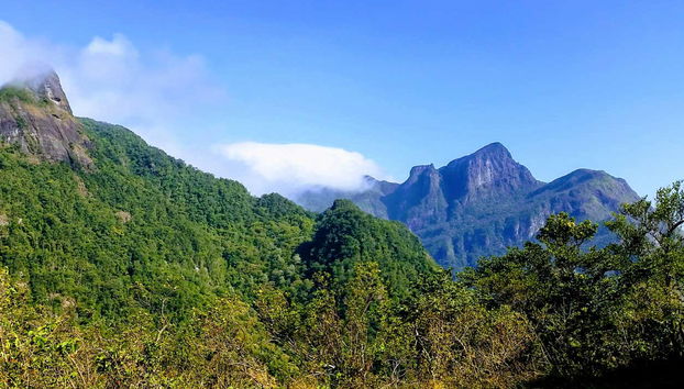 Knuckles Mountain Private Hiking Tour - Foto 2