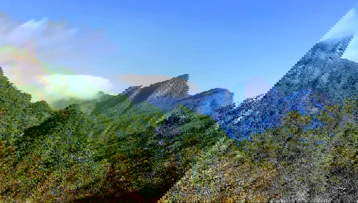 Knuckles Mountain Private Hiking Tour - Foto 1