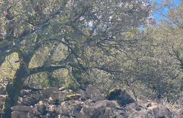 Studio en plein centre des Vans - Foto 24