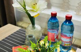 CitiMarina56 - Foto 11