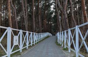 Apartamenty Morze Wygody - Foto 12