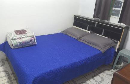 Flor da Primavera - Foto 3