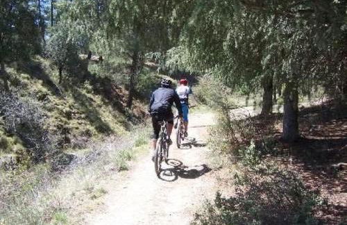 Apartment Al Sil Ram by Interhome - Foto 13