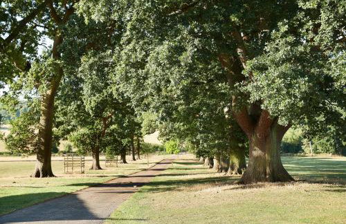 Woodland Retreat - Foto 16