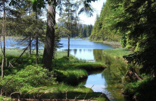 Fewo Keilhofer - Foto 9