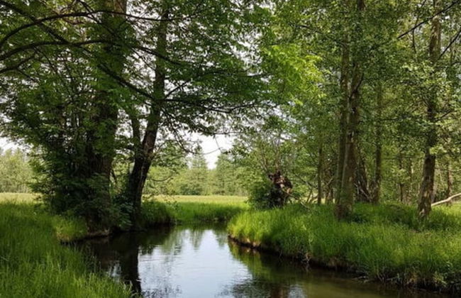 Tasteful Apartment in Burg - Foto 13