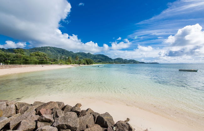 Dar and Douce - Photo 29