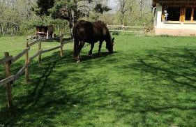 Eco Urbión - Foto 19