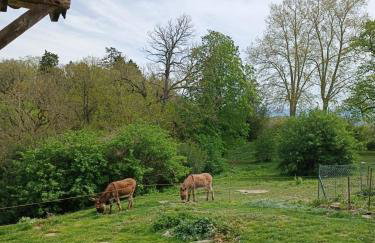 Domaine Puy Saint Jammes - Foto 3