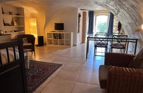 Domaine Mont saint juan - Photo 44