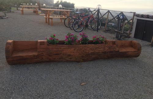 Agriturismo Dispenza - Foto 114