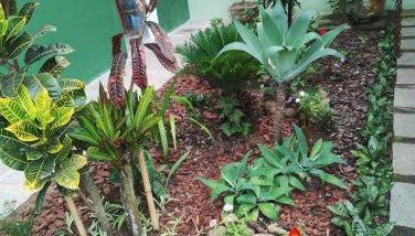 Suítes Casa Verde - Foto 5