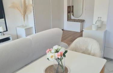 Superbe Appartement Luxueux Spacieux 50 m2 Port Nice - Photo 38