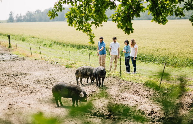 Antica Corte Pallavicina - Foto 14